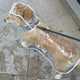 thumbnail image 5 of Greeniant Chubasquero impermeable para mascotas para cachorros, chaqueta de ropa transparente de secado rápido con hebillas de doble Ropa para mascotas marco azul L, 5 of 6