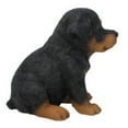 thumbnail image 4 of Hi-Line Gift Ltd, Rottweiler Puppy, 4 of 6