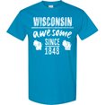 thumbnail image 3 of Inktastic Wisconsin Awesome Since 1848 T-Shirt, 3 of 5