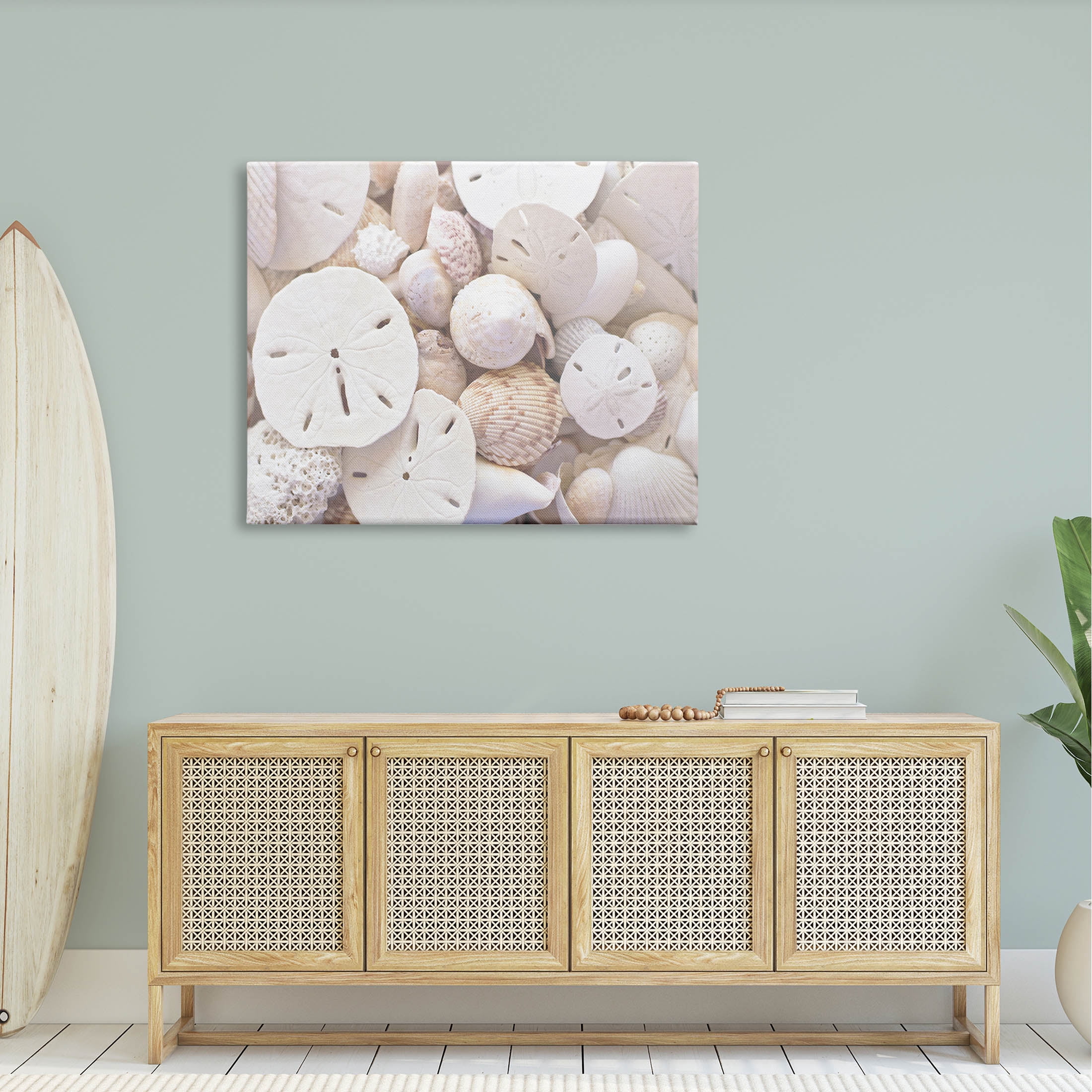 White Mixed Sand Dollar Shells Coastal Photograph Gallery Wrapped Canvas Print Wall Art