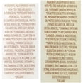 thumbnail image 4 of Trader Joe's Tea Tree Tingle Shampoo & Conditioner, 16 oz., 4 of 4