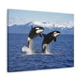 thumbnail image 2 of Funny Whale Silly Whale Scene Couple Wall Art Ready to Hang Unframed, 2 of 18