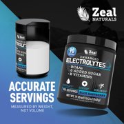 Zealot Electrolyte Powder - 90 Servings | Keto Electrolytes | Zero Sugar | Blue Raspberry