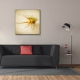 thumbnail image 3 of Epic Graffiti 'Grasses 2' by Jessica Rogers, Canvas Wall Art, 37"x37", 3 of 8