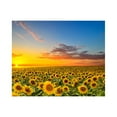 thumbnail image 4 of MesaSe 5D Diy Paintings Sti Cross Rhinestone Painting Pasted  Embroidery Home Diy, 4 of 6
