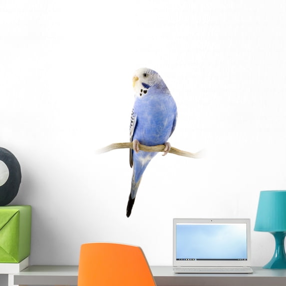 Parrot Blue and White Wall Decal by Wallmonkeys Peel and Stick Graphic (24 in H x 14 in W) WM56687