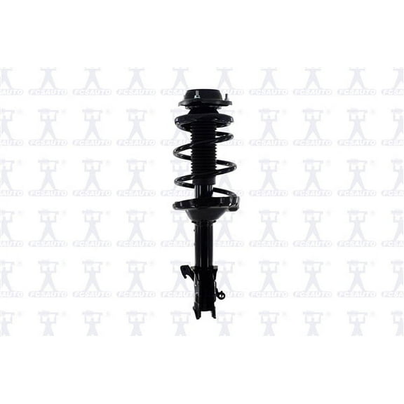 Suspension Strut and Coil Spring Assembly