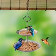 thumbnail image 3 of Comedero para pájaros de 2 niveles, cuenco, decoración de semillas, comida, pájaros salvajes, bandeja colgante, para patio trasero, jardín, Soledad comedero para pájaros, 3 of 8