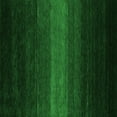 thumbnail image 1 of Ahgly Company Indoor Square Abstract Green Contemporary Area Rugs, 7' Square, 1 of 1