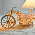 thumbnail image 5 of LED Christmas Lights, Holiday String Lights, Reindeer Themed LED Decor for Indoor and Outdoor Use, Warm White Battery Operated USB Powered Plastic Orange Deer Shaped, 5 of 7