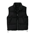 thumbnail image 4 of QUNYINEY Fall Womens Puffer Vest Black Zip Up Short Waistcoat Loose Fit Stand Collar Sleeveless with Pockets Womens Winter Jacket, 4 of 4