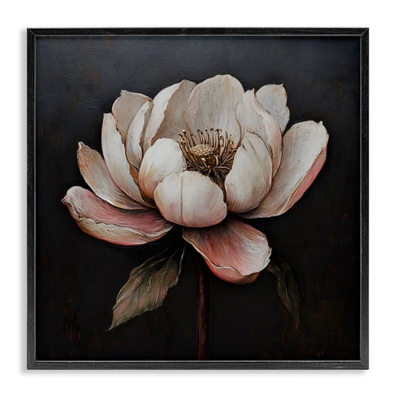 Stupell Industries Transitional Vintage Lotus Flower Black Framed Giclee Art, 12 x 12, by LSR Design Studio