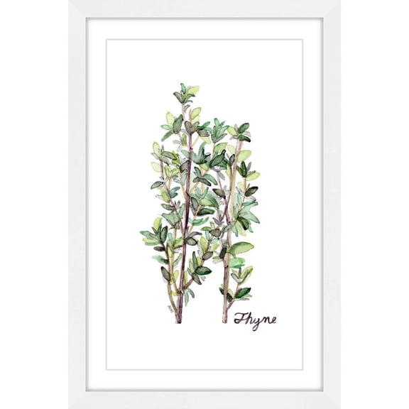 "Herb Thyme" Framed Painting Print