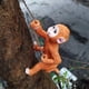 thumbnail image 5 of 2x Climbing Animal Figurines Ornament Pot Hanger for Tree Decoration Sunnimix none, 5 of 8