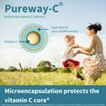 thumbnail image 3 of High Absorption Super Vitamin C, Clean Label Pureway-C 1000mg, Vegan Vitamin C with Bioflavonoids, 60 Servings, 24-Hour Action, Immune Health, Energy, Heart & Brain, by Igennus, 3 of 8