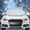 Silver with Paw, variant on RoamRider Magnetic Car Windshield Snow Cover Winter Windscreen Ice Frost Protector Guard