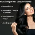 thumbnail image 5 of Proads Fruit Vinegar Hair Gel Colour Black, 5 of 5