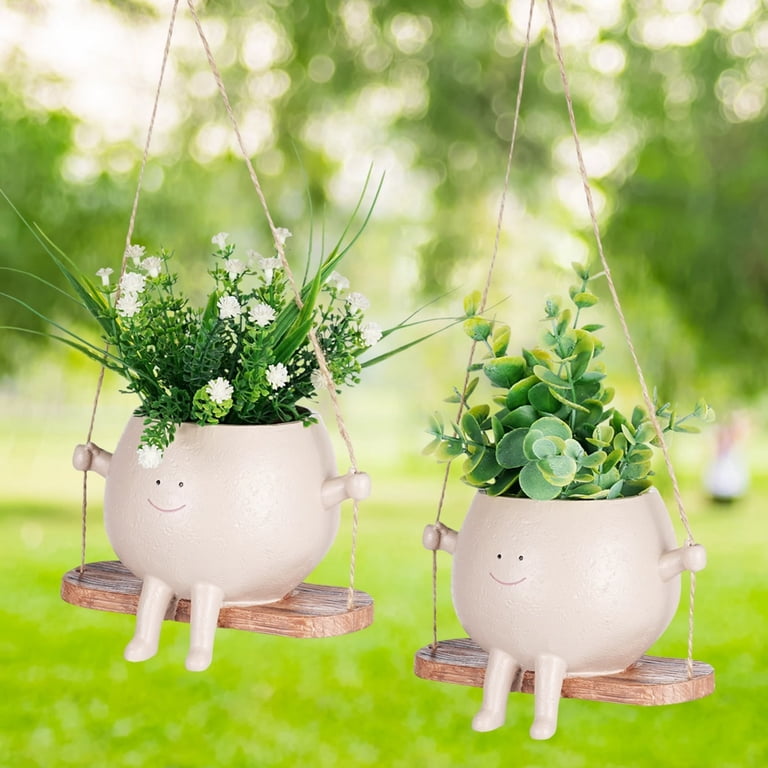 jade plant roots Jade Plant – Feng Shui Money Attracting Succulent Plant Online (4 Inch Pot  in Cocopeat) – Future Roots Agro Private Limited