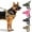 A003- Khaki, variant on Heavy Duty Dog Harness No Pull Front Clip Dog Harness Adjustable Reflective Dog Harness Mesh Dog Harness Breathable for Large Breed Walking Training Black, 1 Pack