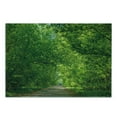 thumbnail image 3 of Landscape Cutting Board, Fresh Forest Canopy Trees over Footpath in an Old Park People Walking Natural Scenery, Decorative Tempered Glass Cutting and Serving Board, Small Size, Green, by Ambesonne, 3 of 5