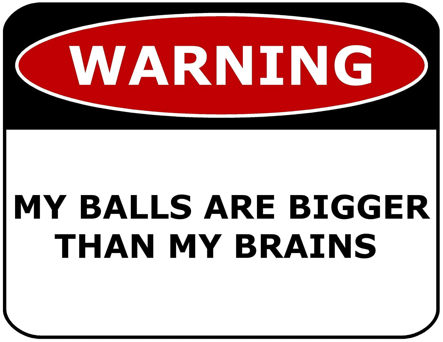 PCSCP Warning My Balls Are Bigger Than My Brains 11 inch by 9.5 inch