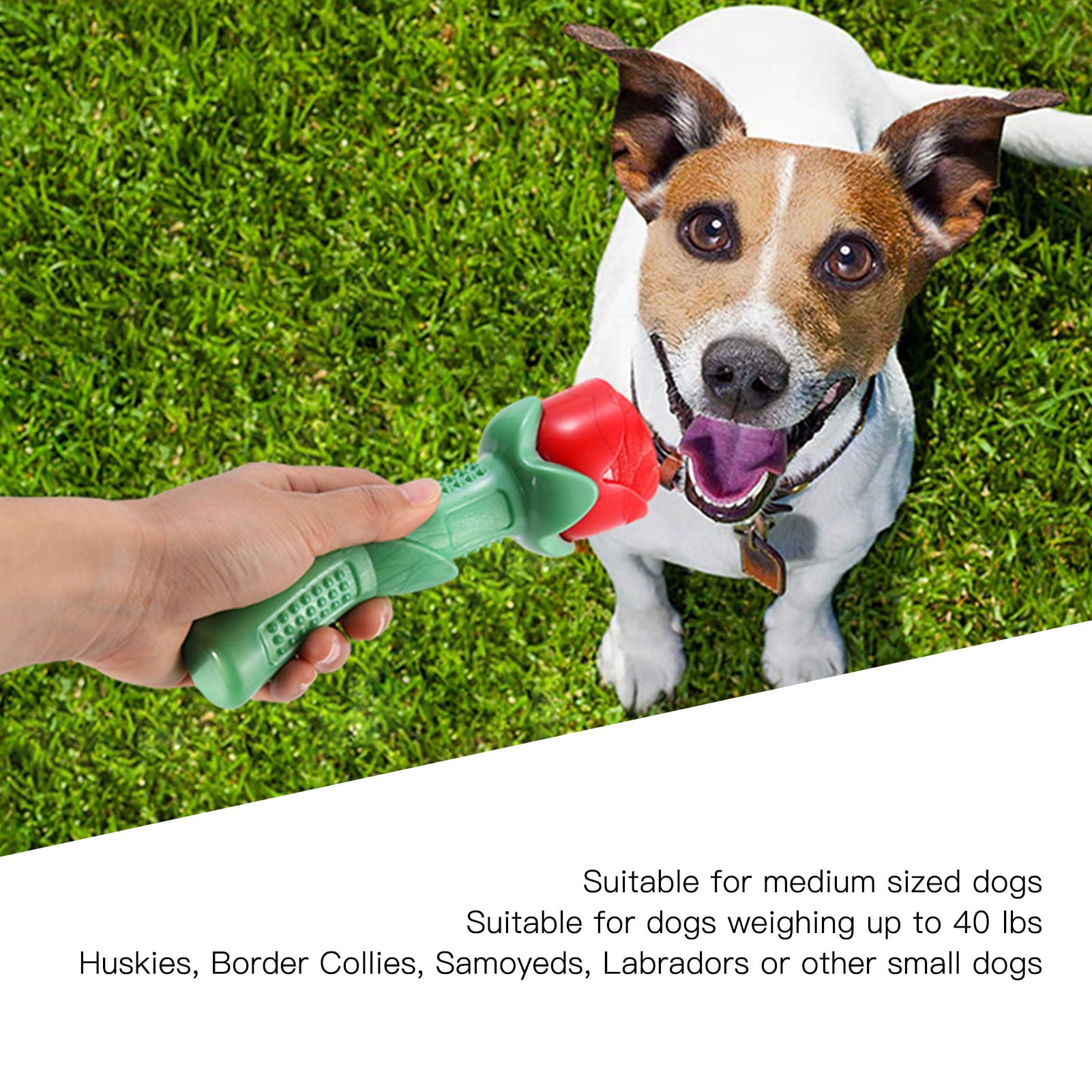 Dog toys for labradors deals