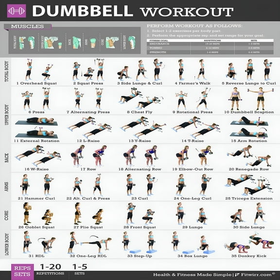 CCOCC Dumbbell Workout Chart Exercise Poster,Living Room,Wall Decoration,Bedroom,Art Deco,Frameless 20x30inches