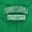 Irish Green, variant on Pennsylvania Student Alumni Pride Men's Graphic T Shirt Tees Brisco Brands S