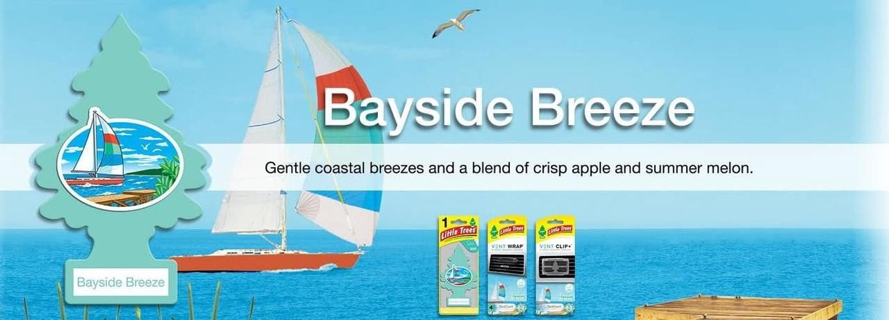 Little Trees 67121 Bayside Breeze Hanging Air Freshener for Car & Home 48 Pack!