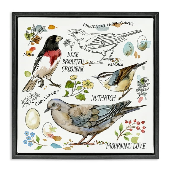 Stupell Industries Bird Watching Diagram Animals Painting Black Floater Framed Canvas Art Print Wall Art, 18 x 18