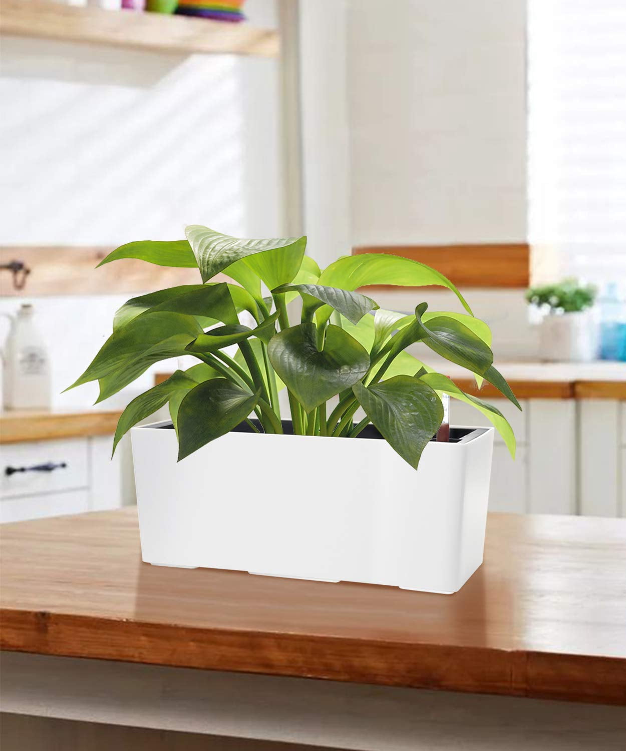 14 Inch Self Watering Planter Pot with Water Level Indicator, Rectangular Matte Plastic Window Box for Indoor Outdoor Herbs Succulents Flowers