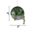 thumbnail image 2 of Succulent Mix in 8" Hanging Galvanized Silver Tin Wall Planter, 2 of 2
