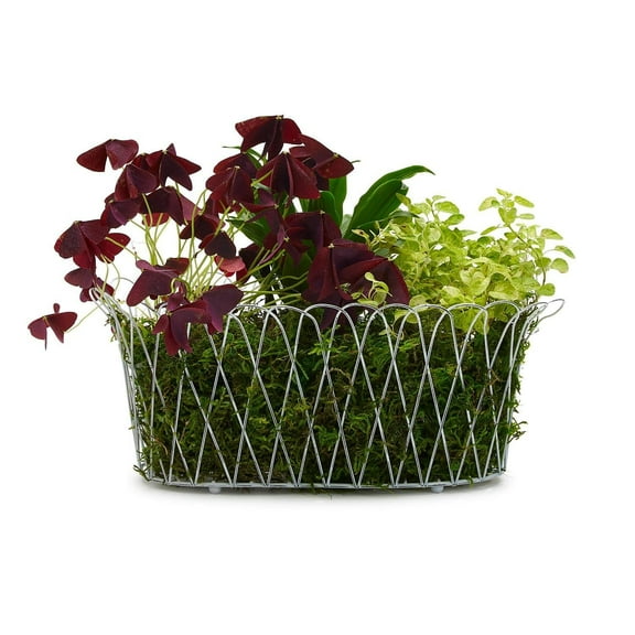 Two's French Wireworks Alfabia Double Planter Basket w/ Antique White Finish