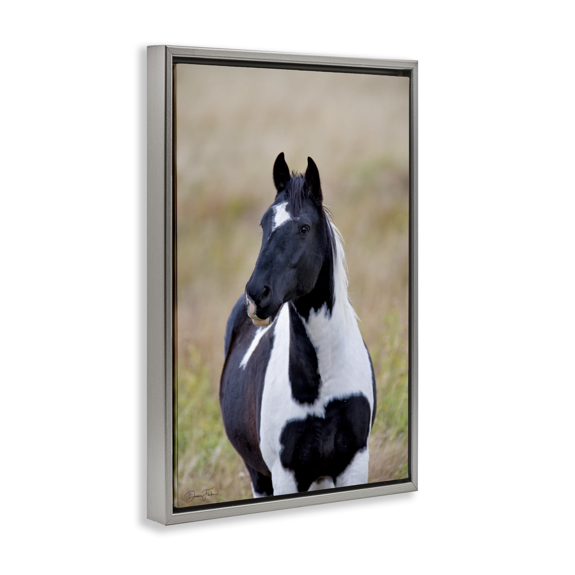 Stupell Industries Black & White Foal Animals & Insects Photography Gray Floater Framed Canvas Art Print Wall Art, 17 x 25