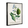 thumbnail image 3 of Stupell Industries Botanical Plant Illustration Blue Flowers Vintage Design Jet Black Framed Floating Canvas Wall Art, 24x30, by World Art Group, 3 of 9