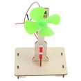 SHISUYAN DIY Wooden Generator Science Toy for Primary Students