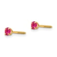 thumbnail image 2 of 14K Yellow Gold Earring Birthstone (07) July Women'S Imitation Round Red 3 mm, 2 of 3