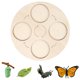 thumbnail image 1 of Ciclo De Vida De Una Mariposa En Fase De Crecimiento. Juguete Educativo Sobre El Ciclo De Crecimiento De Las Plantas Para Niños En Edad Escolar., 1 of 3