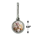 thumbnail image 4 of Cats Selfie at London Palace England Britain Antiqued Charm Clothes Purse Suitcase Backpack Zipper Pull Aid, 4 of 5