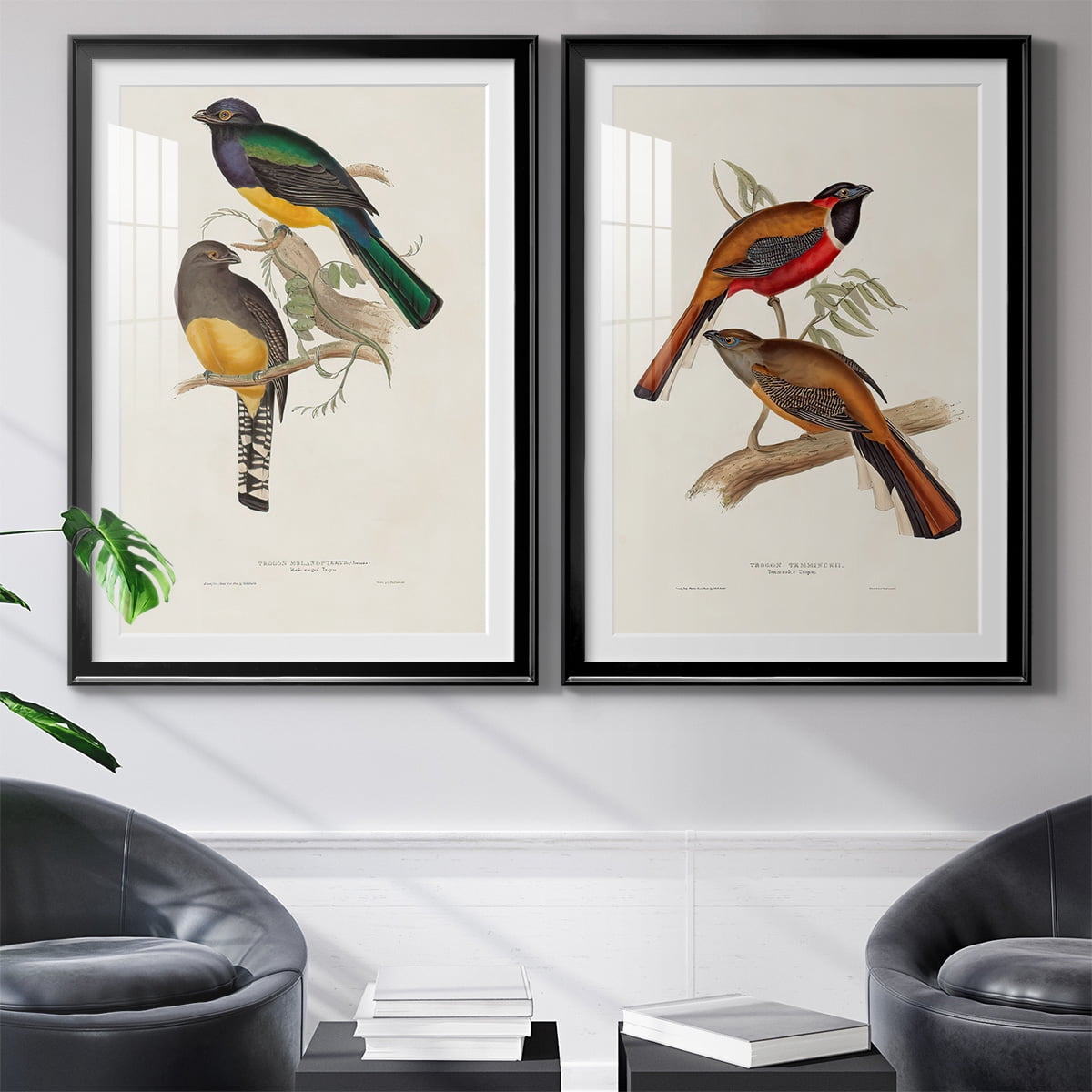 Wexford Home Elegant Trogons III Premium Framed Print, 30.5" x 42.5" - Ready to Hang, Black (Set of 2)