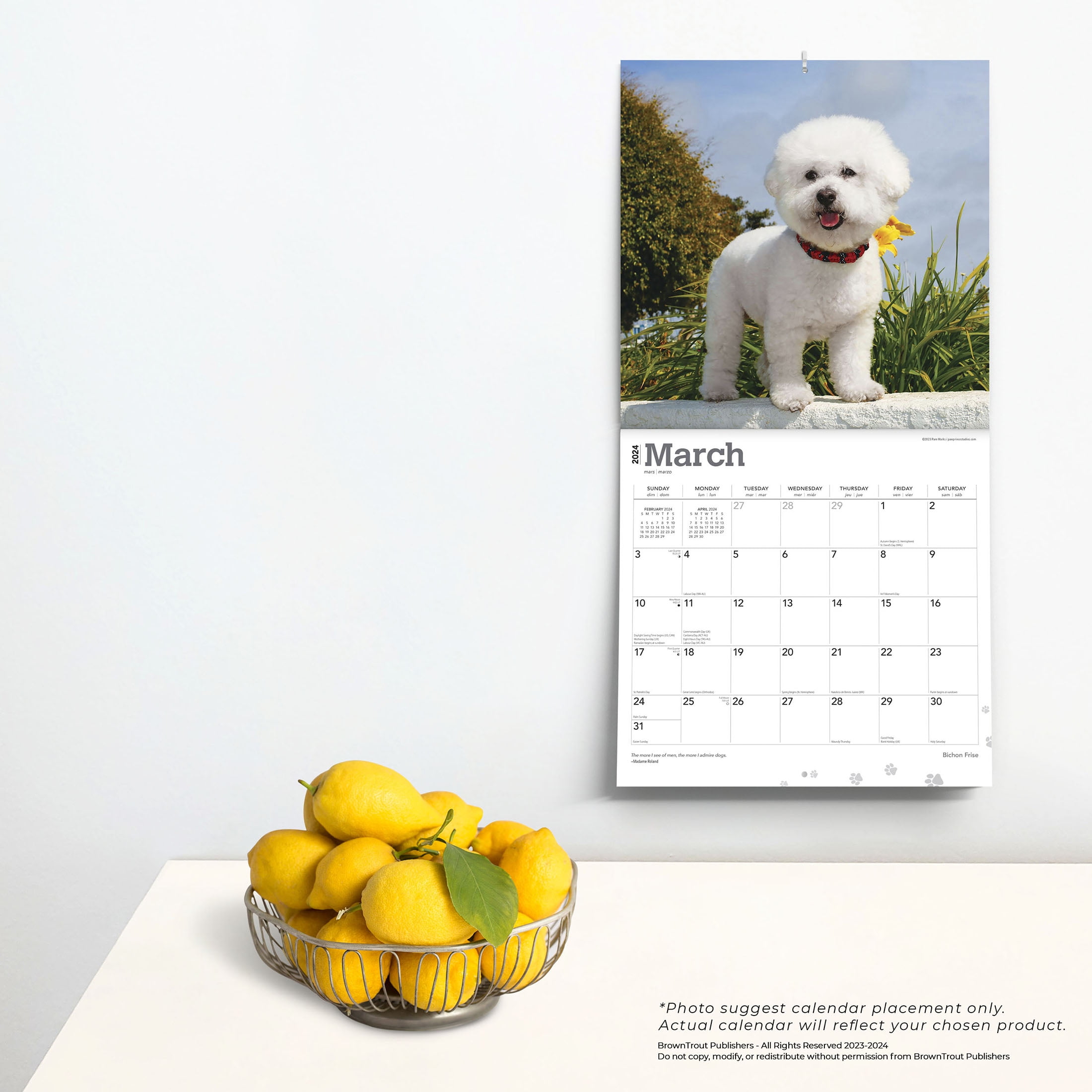 2023 2024 Bichon Frise Calendar - Dog Breed Monthly Wall Calendar - 12 x 24  Open - Thick No-Bleed Paper - Giftable - Academic Teacher's Planner