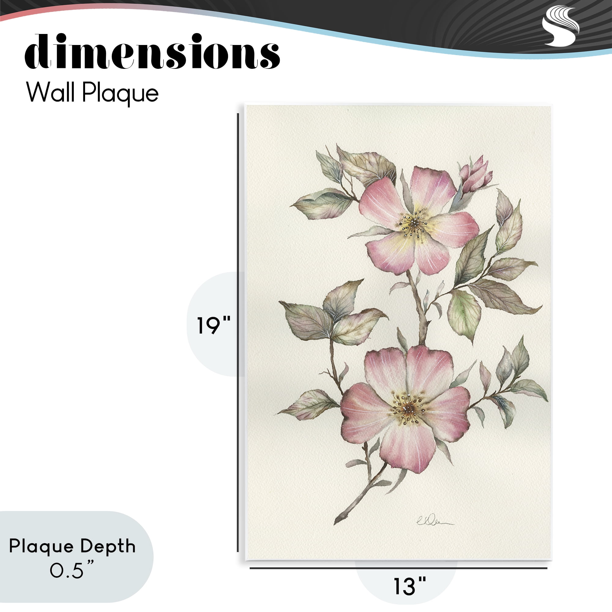 Stupell Industries Two Flowers Natural Study Wall Plaque Art, design by Cady Driver