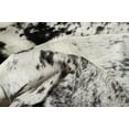 thumbnail image 2 of Natural Kobe Cowhide Rug | S & p white/black | 6'x7', 2 of 4