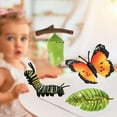 thumbnail image 3 of de modelo de de de mariposa de educativos para , juguetee biología de aprendizaje Conoscitivo, material didác B CUTICAT juguetes de crecimiento de insectos para niños, 3 of 8