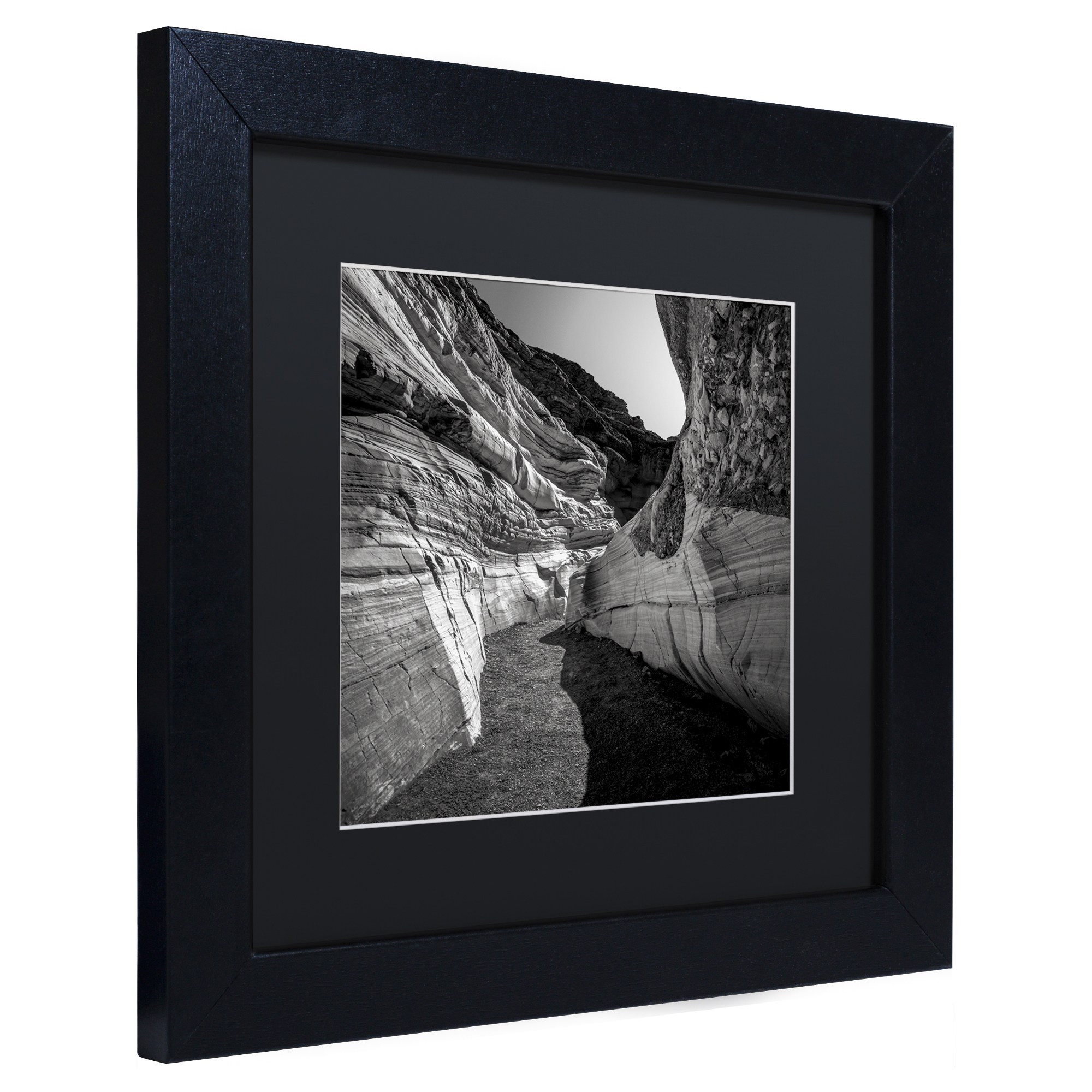 Trademark Fine Art "Yin Yang" Canvas Art by Dave MacVicar, Black Matte, Black Frame
