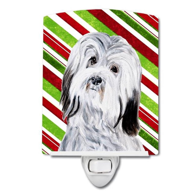 Carolines Treasures SC9809CNL Havanese Candy Cane Christmas Ceramic Night Light