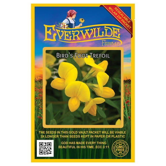 Everwilde Farms - 2000 Birds Foot Trefoil Garden Flower Seeds - Gold Vault Jumbo Bulk Seed Packet
