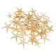 thumbnail image 1 of Conchas De Estrella De Mar Naturales, Exhibición De Boda, Decoración Artesanal Para Acuario, 2-3cm, 50 Uds. Sunnimix artesanías conchas marinas, 1 of 8