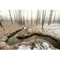 thumbnail image 2 of The Yellowstone Collection 18x13 White Modern Wood Framed Museum Art Print Titled - Foggy Morning at Tangled Creek, Yellowstone National Park, 2 of 4