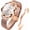 white, variant on Watches for Women Fashion Dress Elegant Luxury Womens Watches Japanese Analog Quartz Diamond Waterproof Luminous Ladies Watches Bracelet Gifts Set Reloj para Mujer